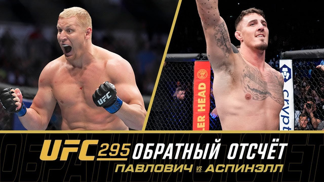 UFC 295: Обратный отсчет – Павлович vs Аспинэлл
