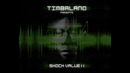 Timbaland – Symphony (2009)