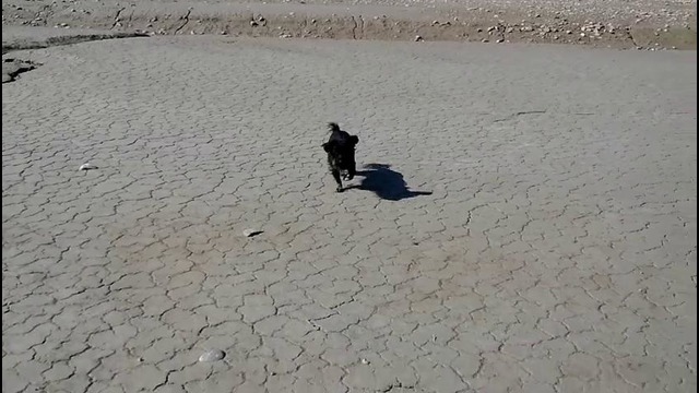 Дно чарвака