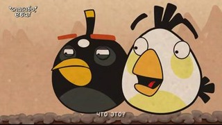 Angry Birds: Animated series. Episode 1