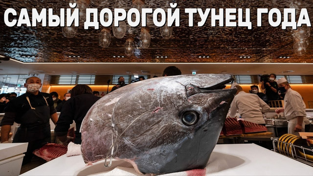 За $270 тыс. продали голубого тунца на аукционе в Токио