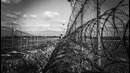 Топ 5 отсидевших в тюрьме бодибилдеров