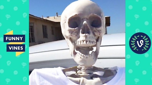 TRY NOT TO LAUGH – The Best Funny Vines Videos of All Time Compilation #33