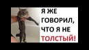 Лютые приколы. Я не ТОЛСТЫЙ