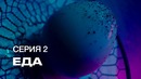S7 Airlines Инопланетное шоу «Посетите Землю». 2 Серия – Еда
