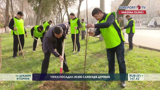 Представители УзПСБ посадили более 20 тыс саженцев деревьев