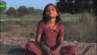 Пригрела змею девочка из Индии дружит с королевскими кобрами — и жива