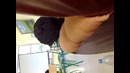 Black Mamba in Real. Episode 3