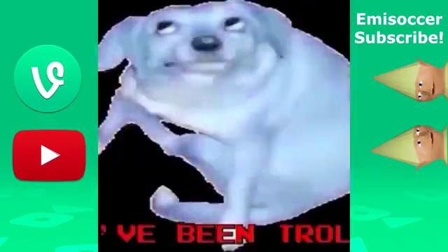 Dank Memes Vine Compilation V2