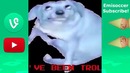 Dank Memes Vine Compilation V2