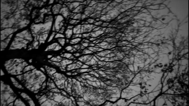 Bloodbath – Church of Vastitas