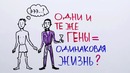 Научпок – Что важнее окружающая среда или гены