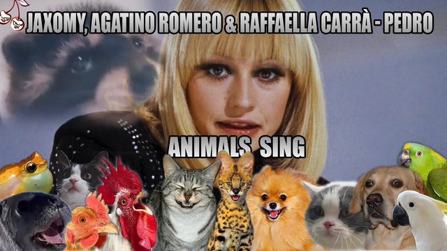 Jaxomy, Agatino Romero, Raffaella Carrà – Pedro (Animal Cover)