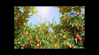 Meva – вкус родных фруктов