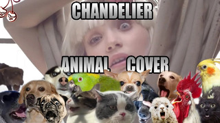 Sis – Chandelier (Animal Cover)