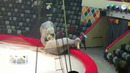 В Казани слоны подрались во время представления