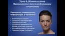 Урок 4. Запоминание лиц и информации о человеке