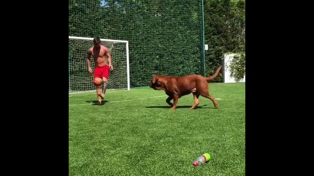 Месси играет с собакой