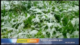 No comment – Весенний снег в Самарканде (18.03.2016)