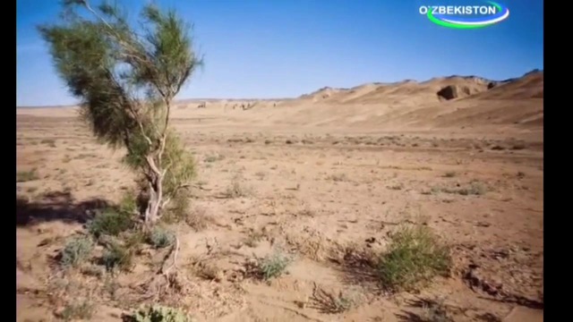 Agroolam ko`rsatuvi CADI cho`llarni asrash loyihasi haqida