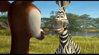 «Безумный Мадагаскар» – короткометражный мультфильм