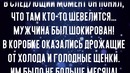 Собачка пыталась открыть коробку, в которой что-то пищало