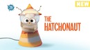 Angry Birds Blues – The Hatchonaut