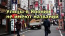 Интересный факты в жизни