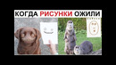 Лютые приколы. Когда рисунки ожили