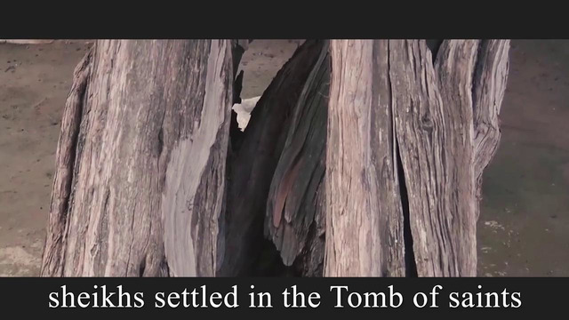 Hazrati Sulton Said Axmad Bashir (1368 – 1464)