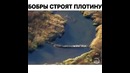 Завораживающее зрелище