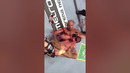 Our Top 3 FAVORITE Rear Naked Chokes