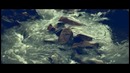 Smoke Signals – You Know Me, I’m Impulsive (Official Music Video)