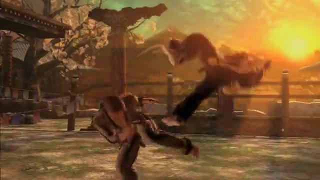 Tekken 6 Fighting Style baek