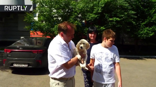 В Красноярске мальчик с аутизмом получил щенка в подарок от Путина