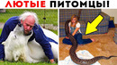55 лютых домашних питомцев