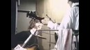 Lady madonna-beatles