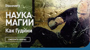 Как Гудини | Наука магии | Discovery