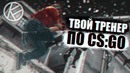 Я – твой тренер по cs-go