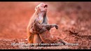 22 фотографии, на которых эмоции говорят сами за себя