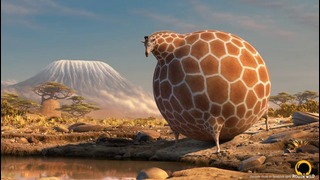 ROLLIN’ WILD – ‘Giraffe ‘ – what if animals were round