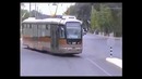 Виктория sikret- цветущий рай