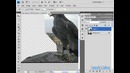 Фотомонтаж в Фотошопе, уроки монтажа фото в программе Photoshop CS 4, TeachVideo