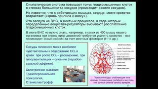 Дубынин Вячеслав – Мозг: Норадреналин и адреналин; азарт, стресс и не только