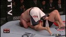 Josh Barnett vs. Roy Nelson (Джош Барнетт – Рой Нельсон)