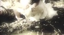 Nile – Sarcophagus