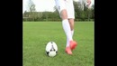 Фмнты Ronaldo и Stivi Robertsa