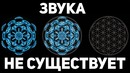 КАК ВЫГЛЯДИТ ЗВУК? Звуки природы и звуки космоса – что их объединяет