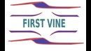 FIRST VINE (не судите строго)