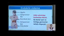 8 sinf. Umumlashtiruvchi dars